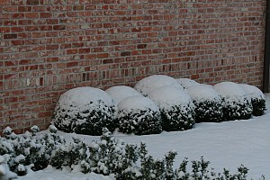 1+winter+2011.JPG