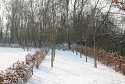 1+winter+3.JPG