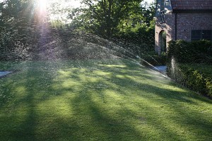 3+zomer+141.JPG
