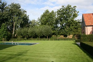 3+zomer+154.JPG