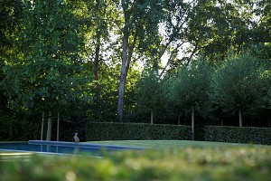 3+zomer+175.jpg