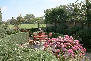 IMG_0383.jpg