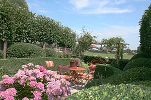 IMG_0384.jpg