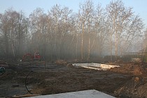 IMG_6652.jpg