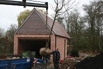 IMG_6702.jpg