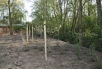 IMG_6718.jpg