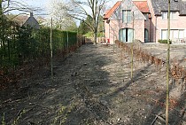 IMG_6723.jpg