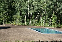 IMG_6929.jpg