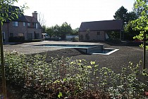 IMG_6943.jpg