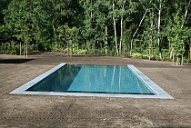 IMG_6946.jpg