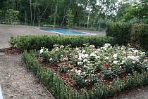 IMG_6955.jpg