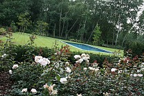 IMG_7192.jpg