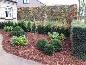 gavere2%2C4.JPG
