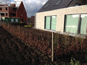 merelbeke+2%2C2.JPG