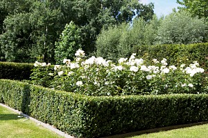onderhoud10.jpg