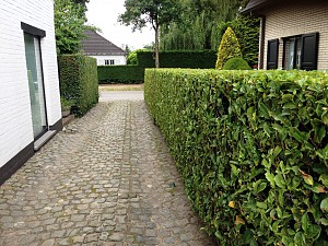 onderhoud2.JPG