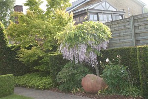 ursel03.JPG