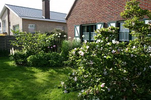 ursel08.JPG