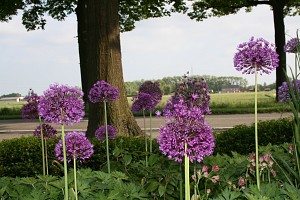 ursel09.JPG